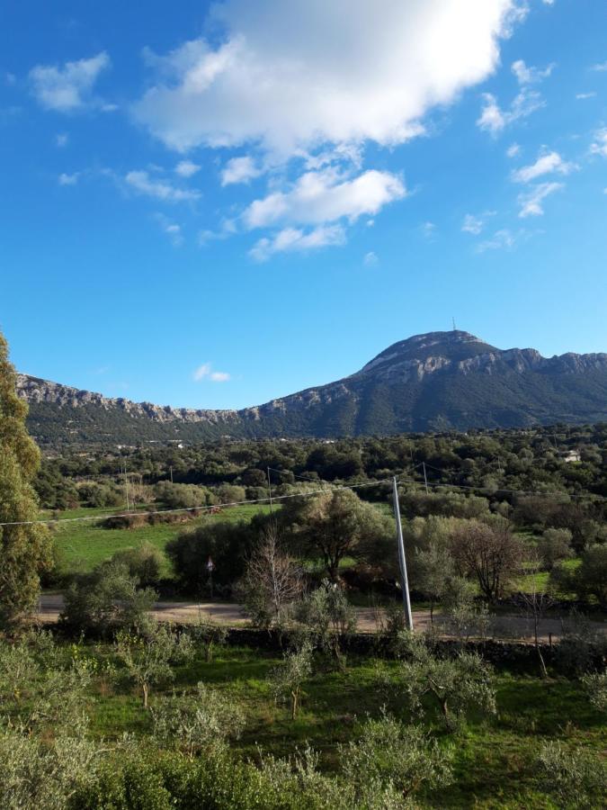 Casa Toloi Daire Dorgali Dış mekan fotoğraf