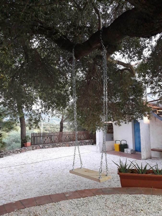 Casa Toloi Daire Dorgali Dış mekan fotoğraf